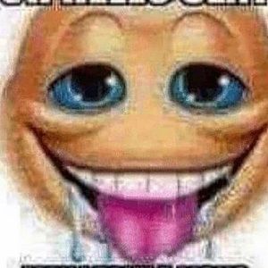 Meet your Posher, Bridget